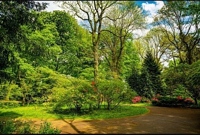 Jardinier paysagiste sur  Ambarès