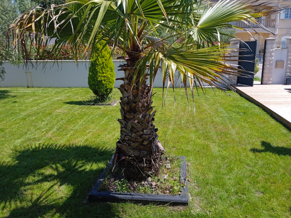 Paysagiste autour de moi