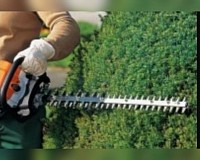 Taille des haies à bordeaux et en gironde avec jardin Design