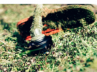 Débroussaillage à Bordeaux et en gironde avec jardin Design