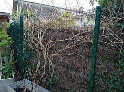 Paysagiste à Mérignac