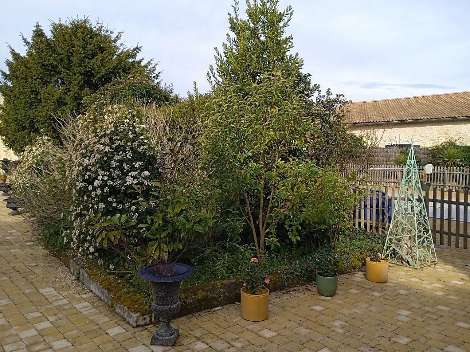 Paysagiste Lormont