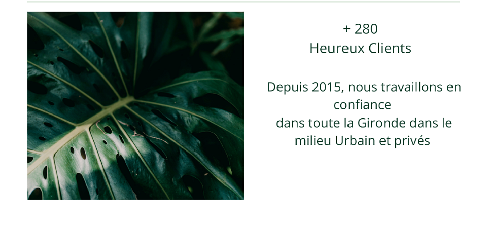 Avis jardin design