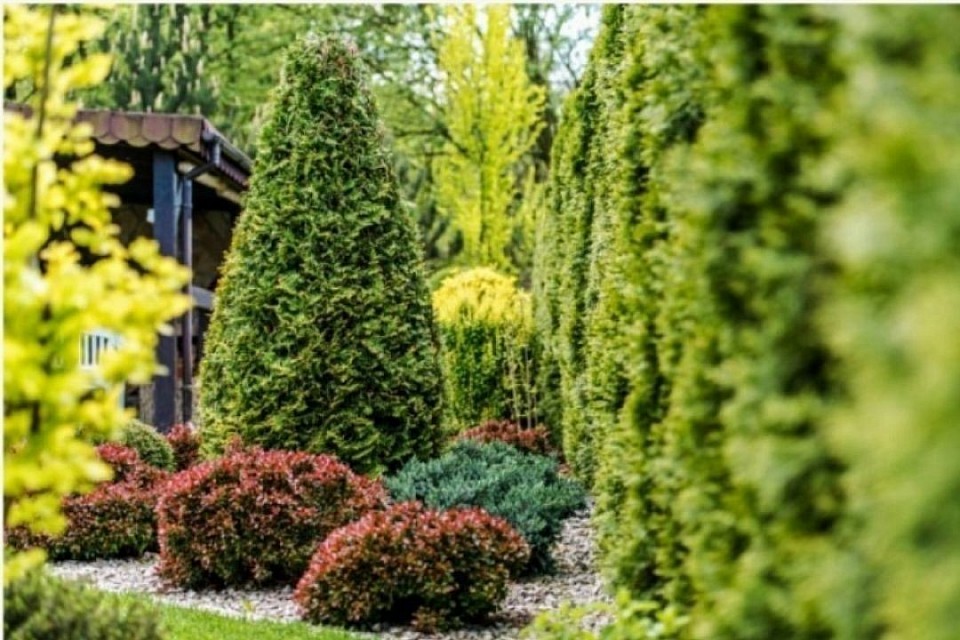 Paysagiste gironde jardin Design