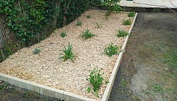 Paysagiste à saint romain la virvée